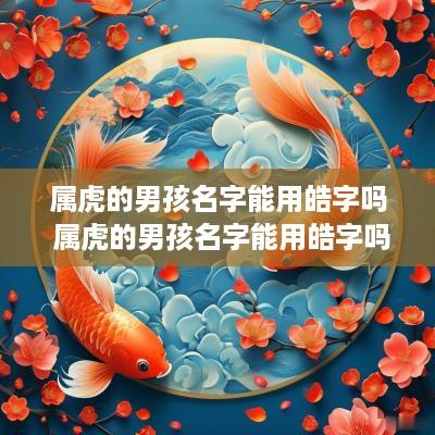 属虎的男孩名字能用皓字吗 属虎的男孩名字能用皓字吗好吗