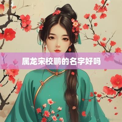 属龙宋校鹏的名字好吗