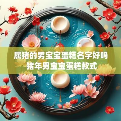 属猪的男宝宝蛋糕名字好吗 猪年男宝宝蛋糕款式