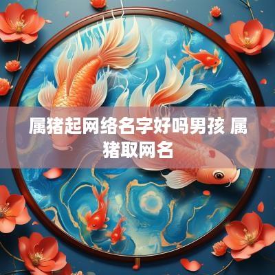 属猪起网络名字好吗男孩 属猪取网名