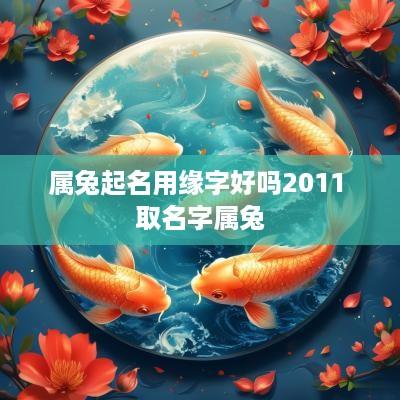 属兔起名用缘字好吗2011 取名字属兔