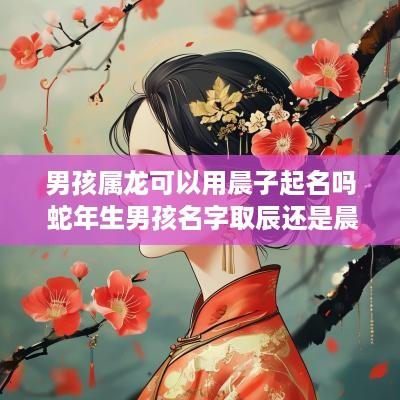 男孩属龙可以用晨子起名吗 蛇年生男孩名字取辰还是晨