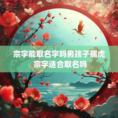 宗字能取名字吗男孩子属虎 宗字适合取名吗