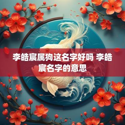 李皓宸属狗这名字好吗 李皓宸名字的意思