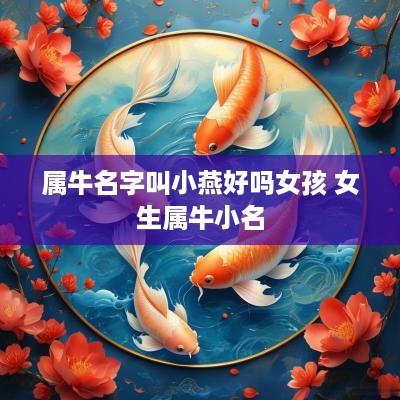 属牛名字叫小燕好吗女孩 女生属牛小名