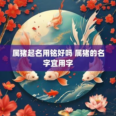 属猪起名用铭好吗 属猪的名字宜用字