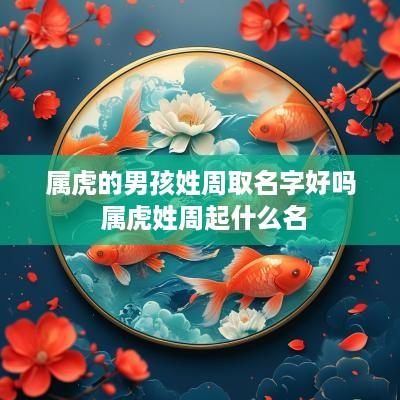 属虎的男孩姓周取名字好吗 属虎姓周起什么名