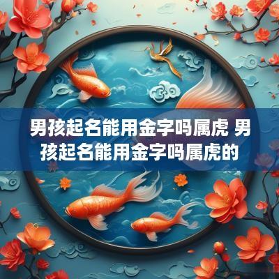 男孩起名能用金字吗属虎 男孩起名能用金字吗属虎的
