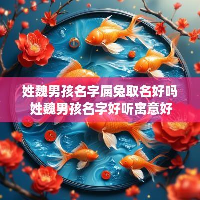 姓魏男孩名字属兔取名好吗 姓魏男孩名字好听寓意好