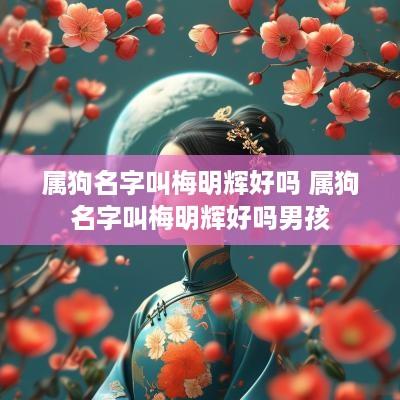 属狗名字叫梅明辉好吗 属狗名字叫梅明辉好吗男孩