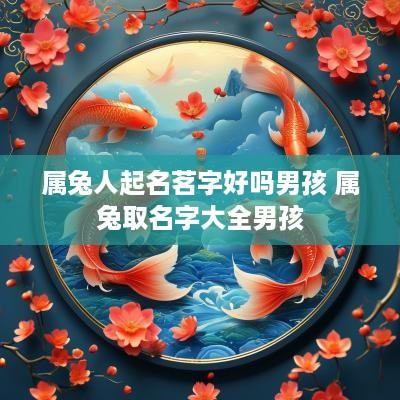 属兔人起名茗字好吗男孩 属兔取名字大全男孩