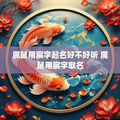 属鼠用宸字起名好不好听 属鼠用宸字取名