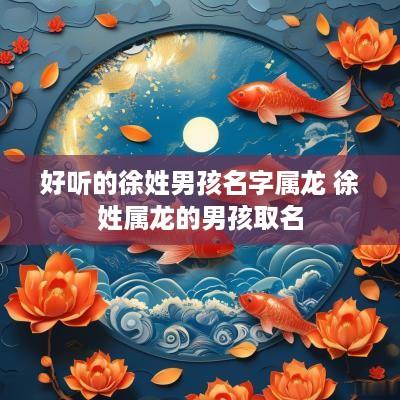 好听的徐姓男孩名字属龙 徐姓属龙的男孩取名