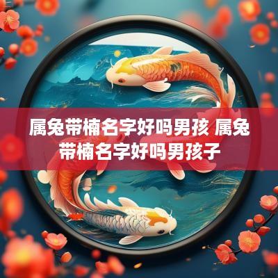 属兔带楠名字好吗男孩 属兔带楠名字好吗男孩子