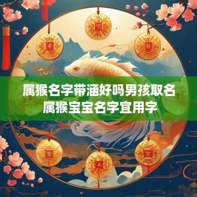 属猴名字带涵好吗男孩取名 属猴宝宝名字宜用字