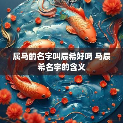属马的名字叫辰希好吗 马辰希名字的含义