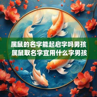 属鼠的名字能起启字吗男孩 属鼠取名字宜用什么字男孩名