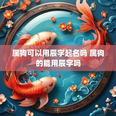 属狗可以用辰字起名吗 属狗的能用辰字吗