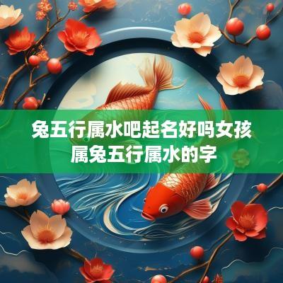 兔五行属水吧起名好吗女孩 属兔五行属水的字