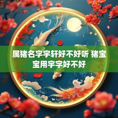 属猪名字宇轩好不好听 猪宝宝用宇字好不好