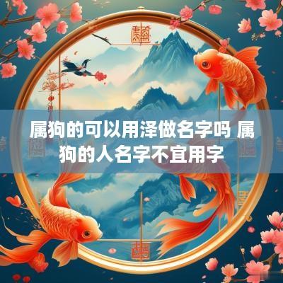 属狗的可以用泽做名字吗 属狗的人名字不宜用字