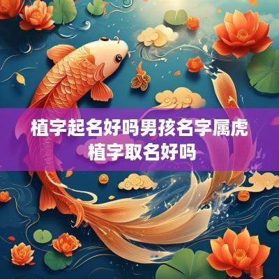 植字起名好吗男孩名字属虎 植字取名好吗