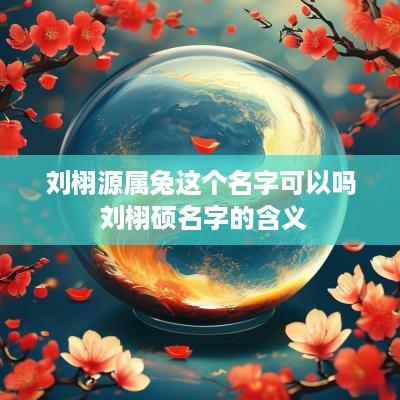刘栩源属兔这个名字可以吗 刘栩硕名字的含义