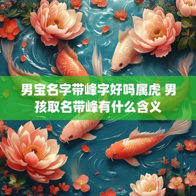 男宝名字带峰字好吗属虎 男孩取名带峰有什么含义