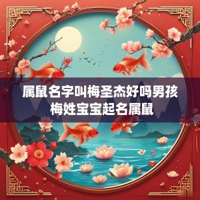 属鼠名字叫梅圣杰好吗男孩 梅姓宝宝起名属鼠
