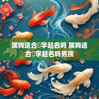 属狗适合洺字起名吗 属狗适合洺字起名吗男孩