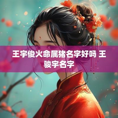 王宇俊火命属猪名字好吗 王骏宇名字