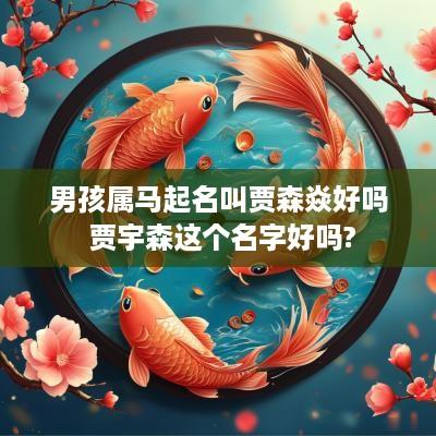 男孩属马起名叫贾森焱好吗 贾宇森这个名字好吗?