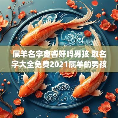 属羊名字鑫睿好吗男孩 取名字大全免费2025属羊的男孩子