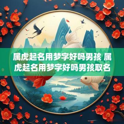 属虎起名用梦字好吗男孩 属虎起名用梦字好吗男孩取名