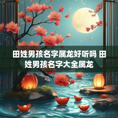 田姓男孩名字属龙好听吗 田姓男孩名字大全属龙