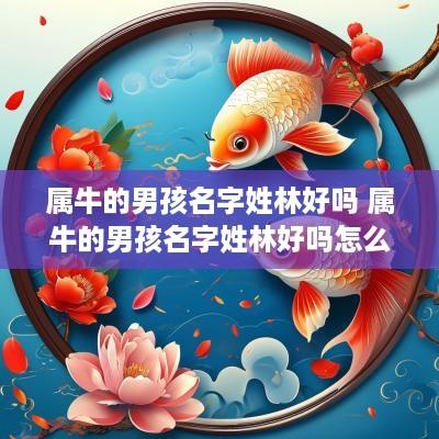 属牛的男孩名字姓林好吗 属牛的男孩名字姓林好吗怎么取