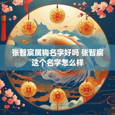 张智宸属狗名字好吗 张智宸这个名字怎么样