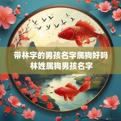 带林字的男孩名字属狗好吗 林姓属狗男孩名字
