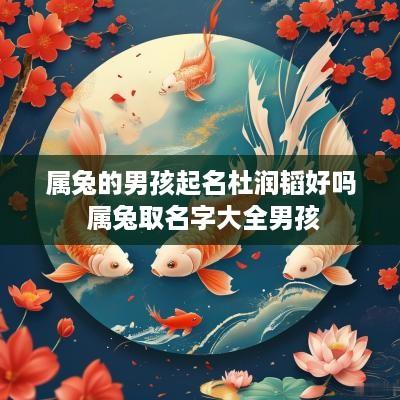 属兔的男孩起名杜润韬好吗 属兔取名字大全男孩