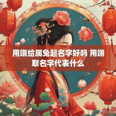 用翊给属兔起名字好吗 用翊取名字代表什么
