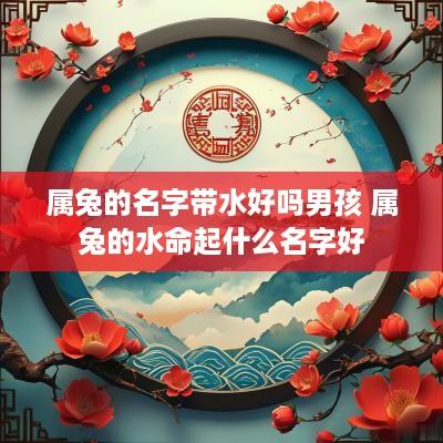 属兔的名字带水好吗男孩 属兔的水命起什么名字好