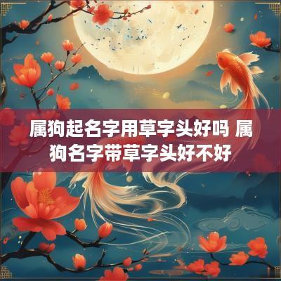 属狗起名字用草字头好吗 属狗名字带草字头好不好