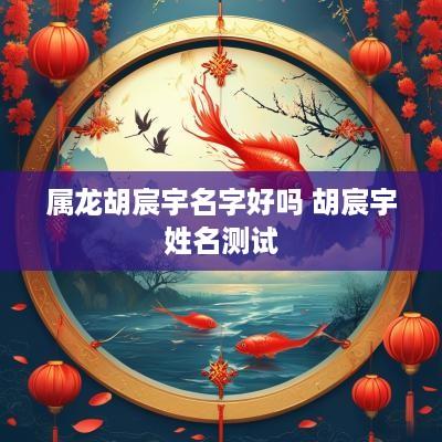 属龙胡宸宇名字好吗 胡宸宇姓名测试
