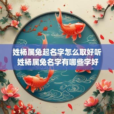 姓杨属兔起名字怎么取好听 姓杨属兔名字有哪些字好