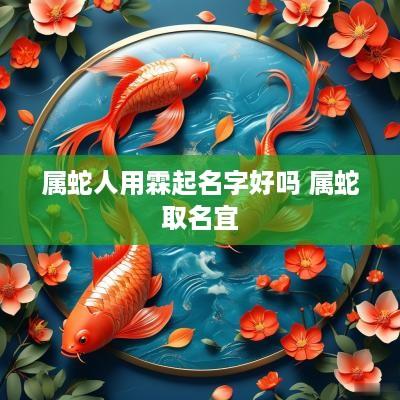 属蛇人用霖起名字好吗 属蛇取名宜