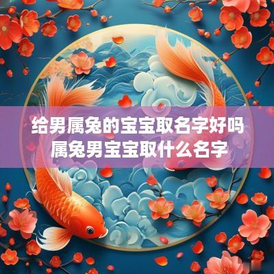 给男属兔的宝宝取名字好吗 属兔男宝宝取什么名字