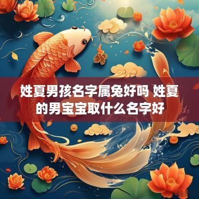 姓夏男孩名字属兔好吗 姓夏的男宝宝取什么名字好