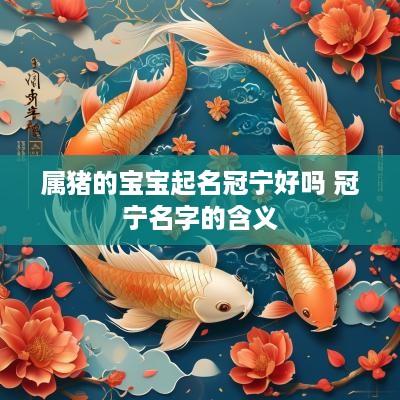 属猪的宝宝起名冠宁好吗 冠宁名字的含义