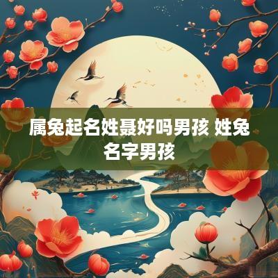 属兔起名姓聂好吗男孩 姓兔名字男孩