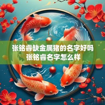张铭睿缺金属猪的名字好吗 张铭睿名字怎么样